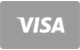 Visa Karte Zahlungsmethode im togawin casino